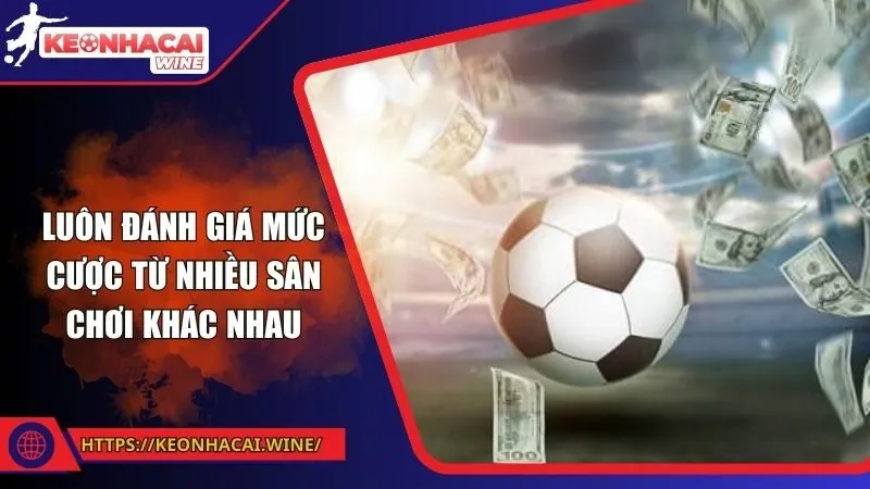 Luôn đánh giá mức cược từ nhiều sân chơi khác nhau