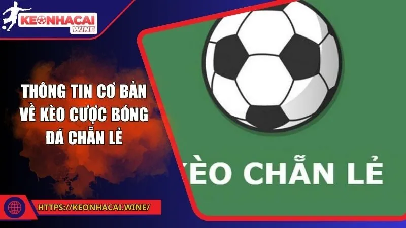 Thông tin cơ bản về kèo cược bóng đá chẵn lẻ